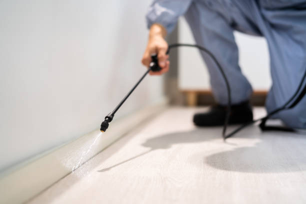 Licensed Fumigation Services service in Rossville, IN - Nex Pest Control