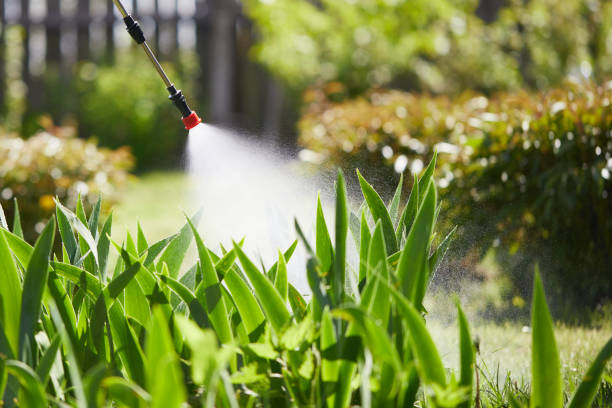 24/7 Emergency Fumigation Services experts in Rossville, IN